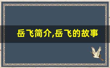 岳飞简介,岳飞的故事