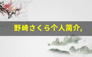 野崎さくら个人简介,野崎さくら个人作品大全