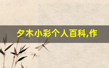 夕木小彩个人百科,作品资料