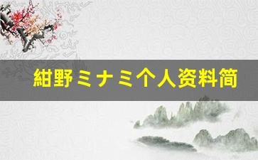 紺野ミナミ个人资料简介,紺野ミナミ作品大全