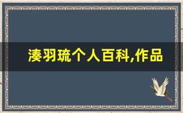 湊羽琉个人百科,作品资料