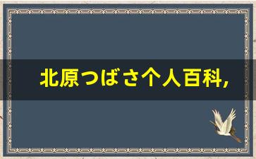 北原つばさ个人百科,北原つばさ作品大全