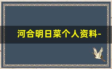河合明日菜个人资料-作品