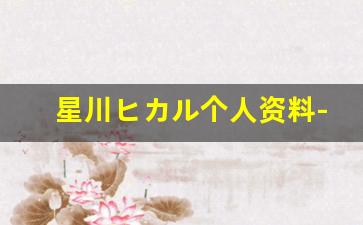 星川ヒカル个人资料-作品