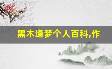 黑木逢梦个人百科,作品资料