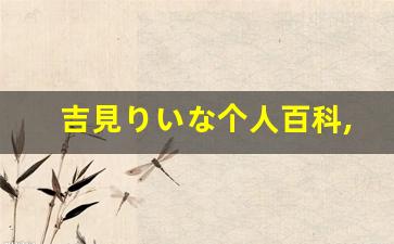 吉見りいな个人百科,吉見りいな作品大全
