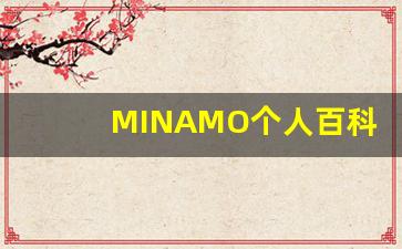 MINAMO个人百科,作品资料