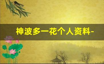 神波多一花个人资料-作品