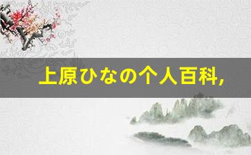 上原ひなの个人百科,上原ひなの作品大全