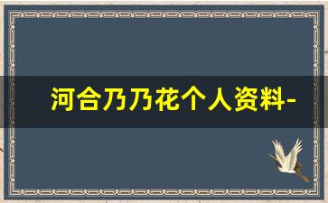河合乃乃花个人资料-作品