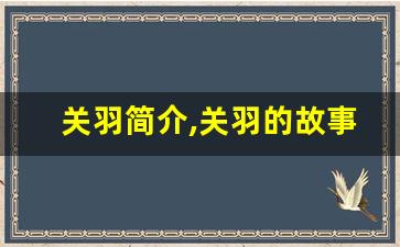 关羽简介,关羽的故事