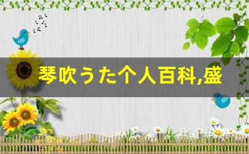 琴吹うた个人百科,盛岡れみ作品大全
