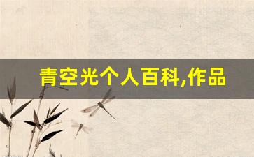 青空光个人百科,作品资料