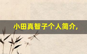 小田真智子个人简介,艺术作品