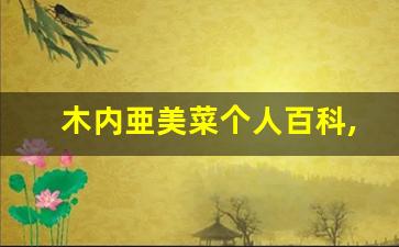 木内亜美菜个人百科,木内亜美菜作品大全