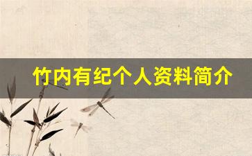 竹内有紀个人资料简介,竹内有紀作品大全