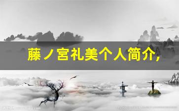 藤ノ宮礼美个人简介,艺术作品