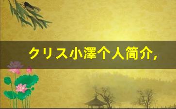 クリス小澤个人简介,艺术作品