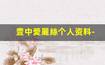 豊中愛麗絲个人资料-作品
