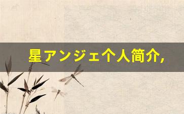 星アンジェ个人简介,艺术作品