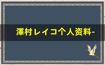 澤村レイコ个人资料-作品