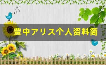 豊中アリス个人资料简介,豊中アリス作品大全