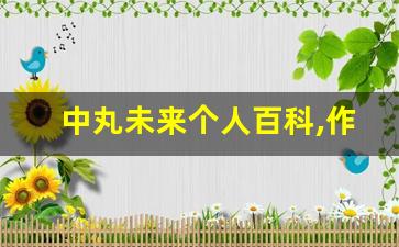 中丸未来个人百科,作品资料