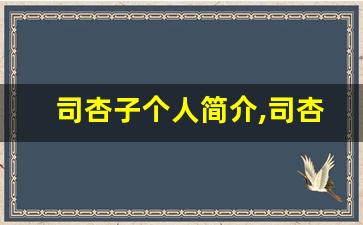 司杏子个人简介,司杏子个人作品大全