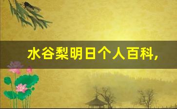 水谷梨明日个人百科,作品资料