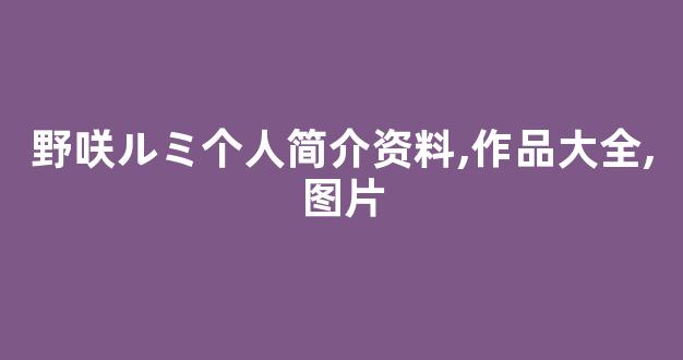 野咲ルミ个人简介资料,作品大全,图片