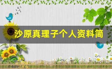 沙原真理子个人资料简介,沙原真理子作品大全