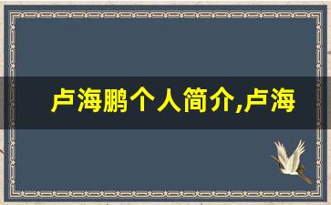 卢海鹏个人简介,卢海鹏作品介绍