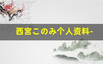 西宮このみ个人资料-作品