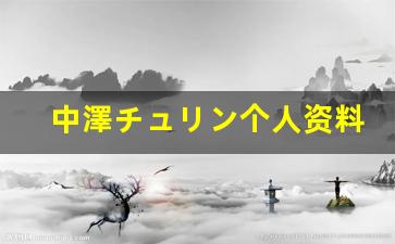 中澤チュリン个人资料简介,中澤チュリン作品大全