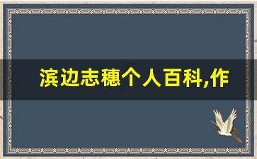 滨边志穗个人百科,作品资料