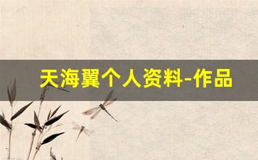 天海翼个人资料-作品