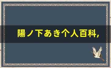 陽ノ下あき个人百科,陽ノ下あき作品大全