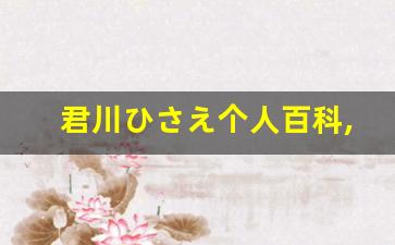 君川ひさえ个人百科,藤本梨花个人作品大全