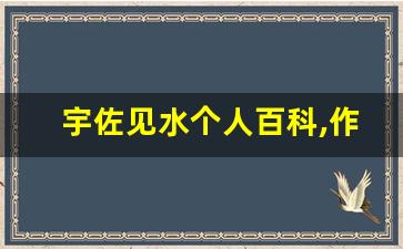 宇佐见水个人百科,作品资料