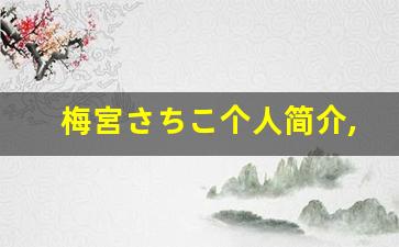 梅宮さちこ个人简介,艺术作品大全