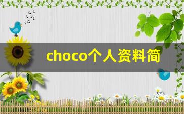 choco个人资料简介,choco作品大全