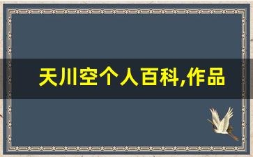 天川空个人百科,作品资料