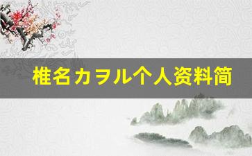 椎名カヲル个人资料简介,椎名カヲル作品大全