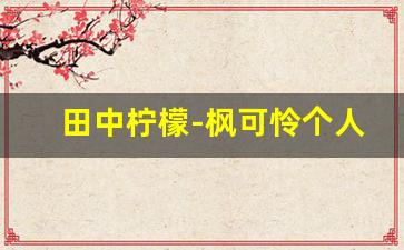 田中柠檬-枫可怜个人百科,作品资料