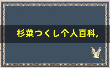 杉菜つくし个人百科,杉菜つくし作品大全