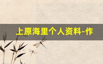 上原海里个人资料-作品
