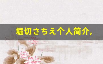 堀切さちえ个人简介,艺术作品大全