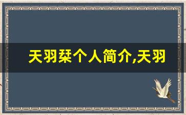 天羽栞个人简介,天羽栞个人作品大全