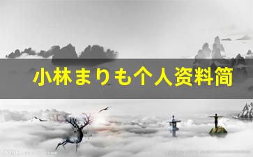 小林まりも个人资料简介,小林まりも作品大全