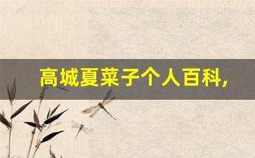 高城夏菜子个人百科,高城夏菜子作品大全
